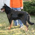 IMG_0084