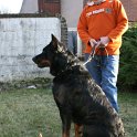 IMG_0085