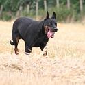 IMG_0631