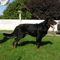 blackie-profil