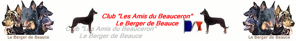 www.amisdubeauceron.org